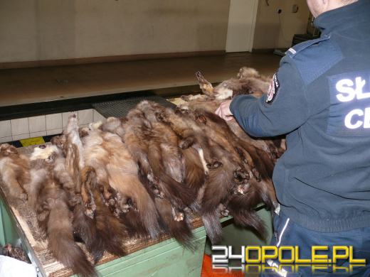 Kilkanaście najciekawszych przemytów wakacyjnych. Tego nie powinniśmy mieć w walizce!