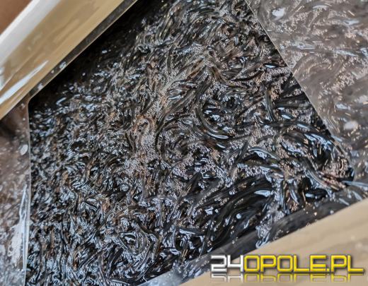 Kilkanaście najciekawszych przemytów wakacyjnych. Tego nie powinniśmy mieć w walizce!