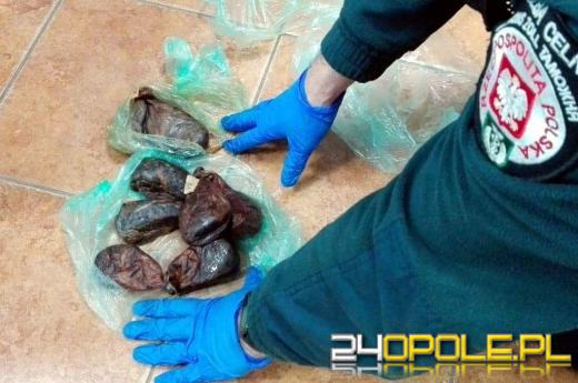 Kilkanaście najciekawszych przemytów wakacyjnych. Tego nie powinniśmy mieć w walizce!