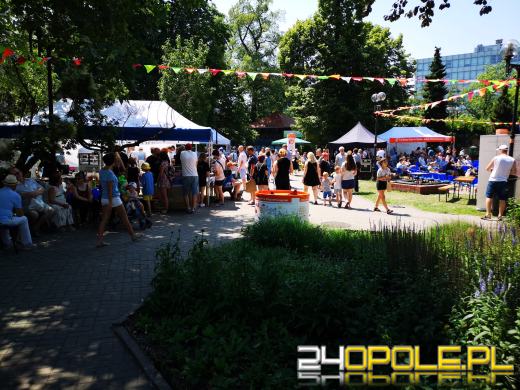 Trwa festyn Fundacji Dom