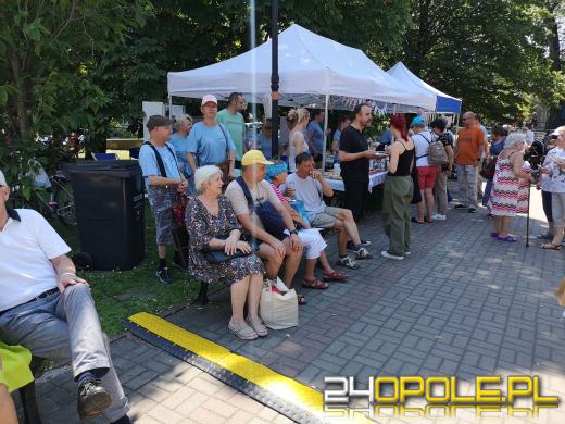 Trwa festyn Fundacji Dom