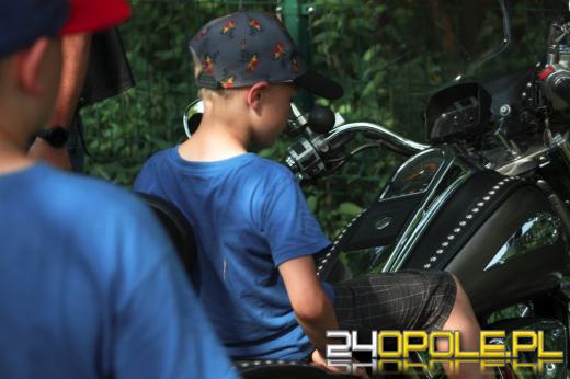 Za nami festyn  z okazji Dnia Rodzicielstwa Zastępczego