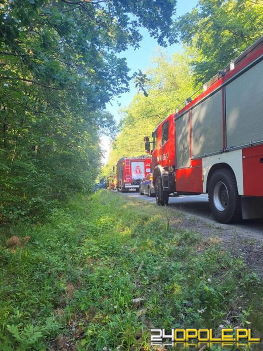 Krapkowice: Kierujący samochodem osobowym wypadł z drogi