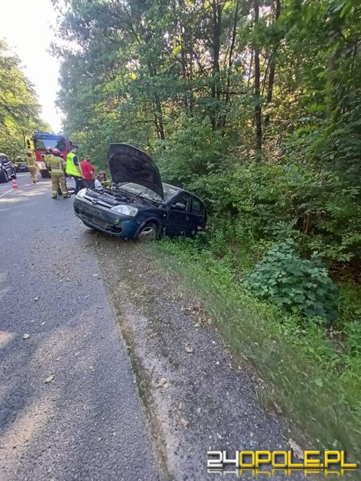 Krapkowice: Kierujący samochodem osobowym wypadł z drogi