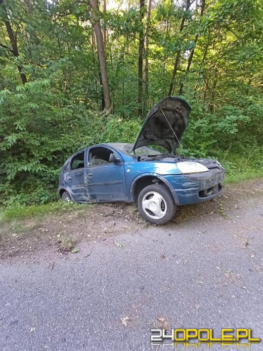 Krapkowice: Kierujący samochodem osobowym wypadł z drogi