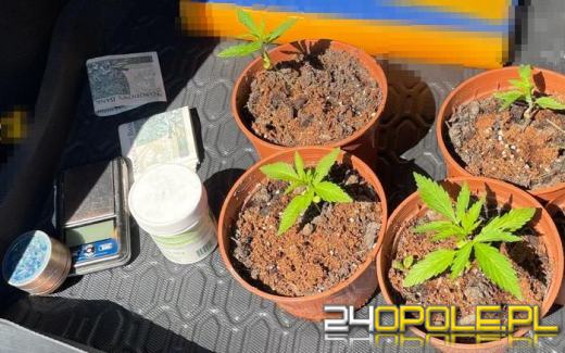 Odpowiedzą za posiadanie narkotyków