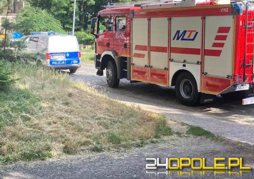 Próbowali utopić małe koty w domowej toalecie