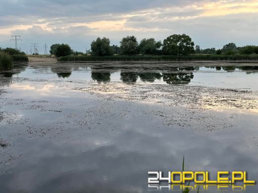 Społecznicy oczyścili jezioro Malina z moczarki. Jest bezpieczniej!