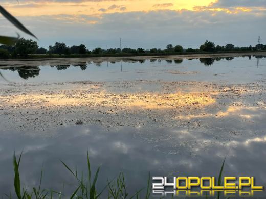 Społecznicy oczyścili jezioro Malina z moczarki. Jest bezpieczniej!