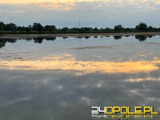 Społecznicy oczyścili jezioro Malina z moczarki. Jest bezpieczniej!