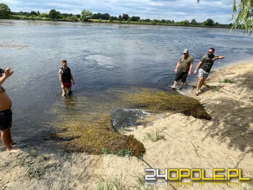 Społecznicy oczyścili jezioro Malina z moczarki. Jest bezpieczniej!
