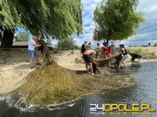Społecznicy oczyścili jezioro Malina z moczarki. Jest bezpieczniej!