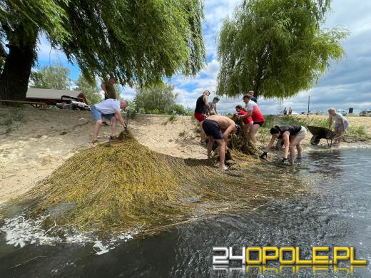Społecznicy oczyścili jezioro Malina z moczarki. Jest bezpieczniej!
