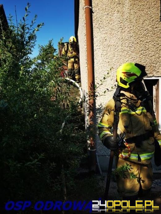 Pożar budynku w Krapkowicach
