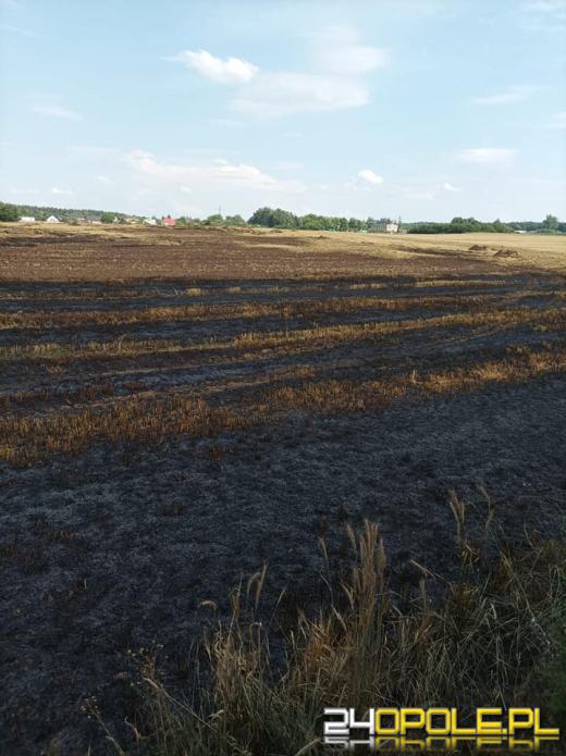 Szybka reakcja rolników sprawiła, że strażacy opanowali wielki pożar ścierniska