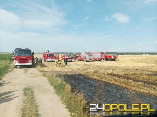 Szybka reakcja rolników sprawiła, że strażacy opanowali wielki pożar ścierniska
