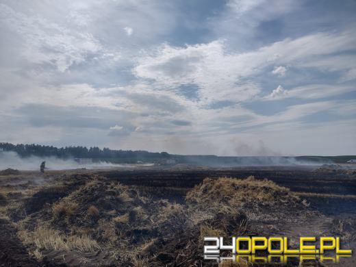 Szybka reakcja rolników sprawiła, że strażacy opanowali wielki pożar ścierniska