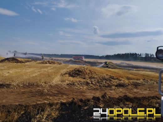 Szybka reakcja rolników sprawiła, że strażacy opanowali wielki pożar ścierniska