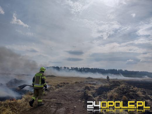 Szybka reakcja rolników sprawiła, że strażacy opanowali wielki pożar ścierniska