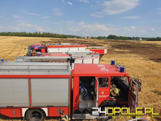 Szybka reakcja rolników sprawiła, że strażacy opanowali wielki pożar ścierniska