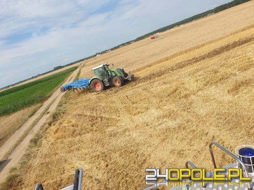 Szybka reakcja rolników sprawiła, że strażacy opanowali wielki pożar ścierniska