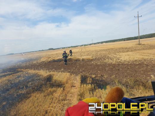 Szybka reakcja rolników sprawiła, że strażacy opanowali wielki pożar ścierniska