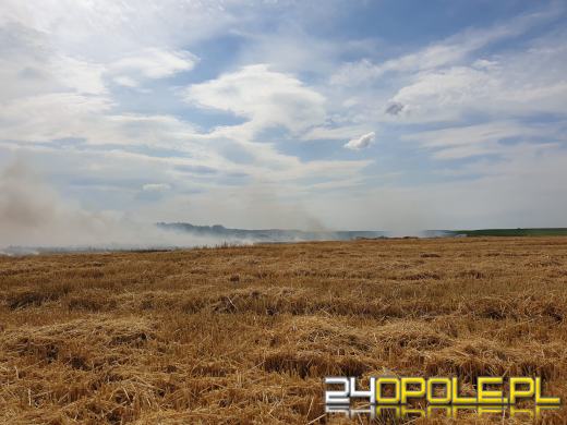Szybka reakcja rolników sprawiła, że strażacy opanowali wielki pożar ścierniska