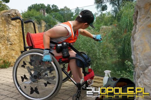 Opolskie Towarzystwo Przyrodnicze zadbało o bezpieczeństwo ptaków w zoo