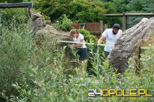 Opolskie Towarzystwo Przyrodnicze zadbało o bezpieczeństwo ptaków w zoo