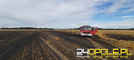 Pożar w Przeczy. W akcji 7 zastępów straży pożarnej