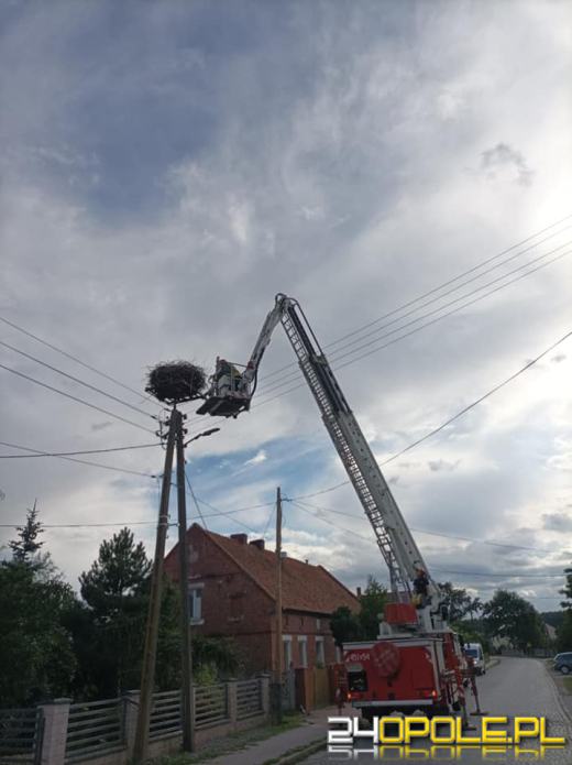 Bocian chodził po jezdni. Strażacy pomogli ptakowi wrócić do swojego gniazda
