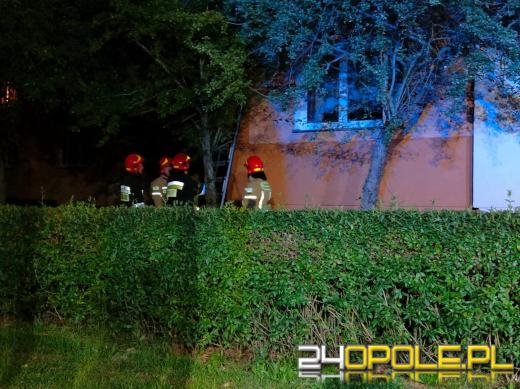 Przebiegły kotek zatrzasnął swoją panią na balkonie. Interweniowała straż