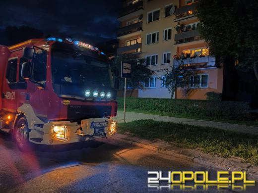 Przebiegły kotek zatrzasnął swoją panią na balkonie. Interweniowała straż