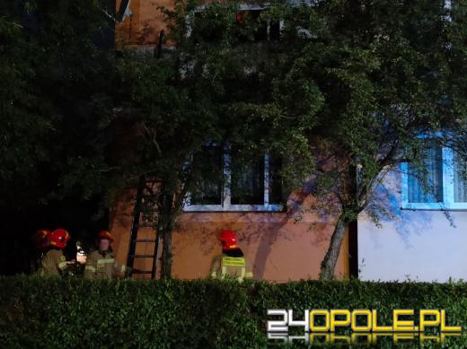Przebiegły kotek zatrzasnął swoją panią na balkonie. Interweniowała straż