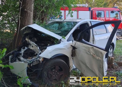 Nietrzeźwi sprawcy wypadków zatrzymani