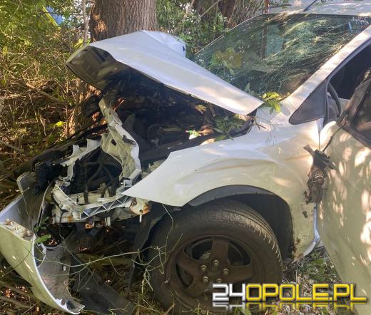 Nietrzeźwi sprawcy wypadków zatrzymani