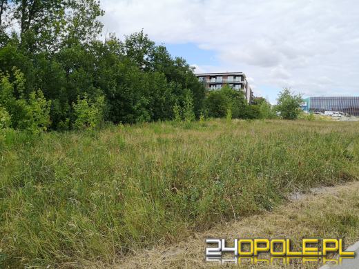 Marszałek Andrzej Buła oficjalnie posiadaczem działki od prezydenta Opola