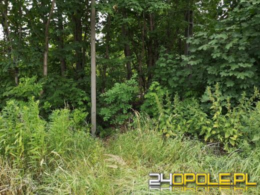 Marszałek Andrzej Buła oficjalnie posiadaczem działki od prezydenta Opola