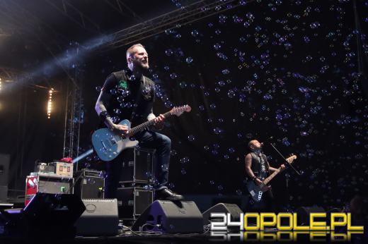 Trwa "Czochraj Bobra Fest". Zobacz zdjęcia