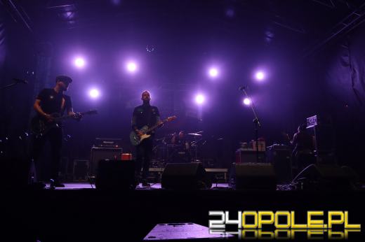 Trwa "Czochraj Bobra Fest". Zobacz zdjęcia