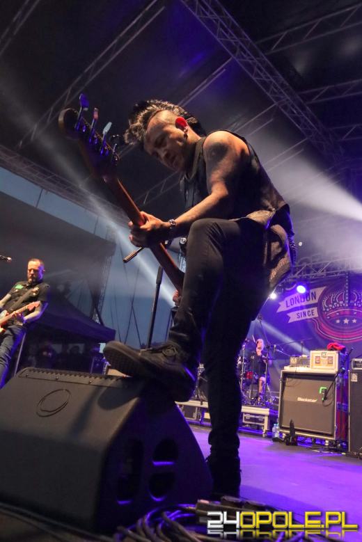 Trwa "Czochraj Bobra Fest". Zobacz zdjęcia