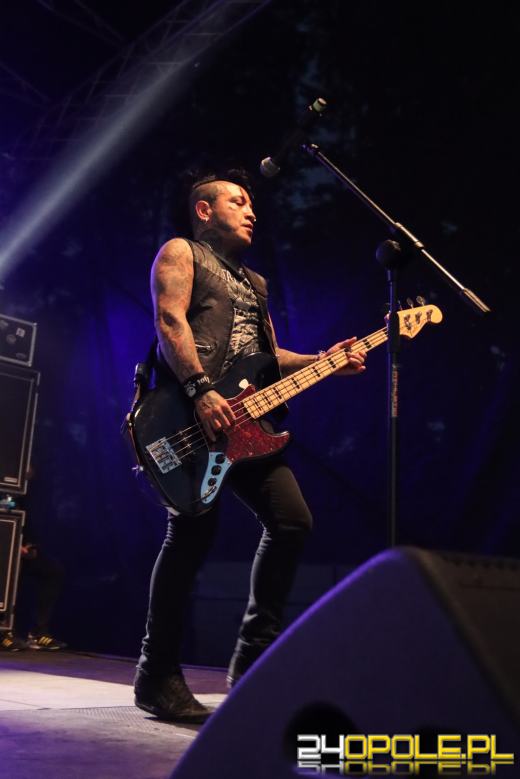 Trwa "Czochraj Bobra Fest". Zobacz zdjęcia