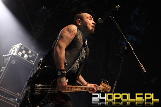 Trwa "Czochraj Bobra Fest". Zobacz zdjęcia