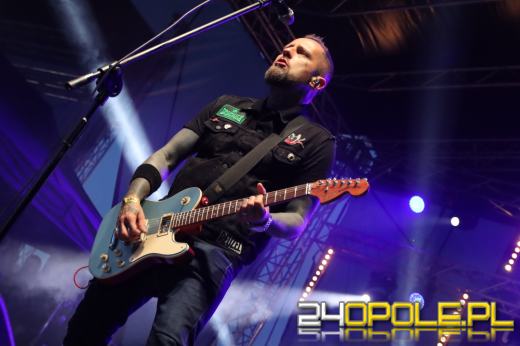 Trwa "Czochraj Bobra Fest". Zobacz zdjęcia