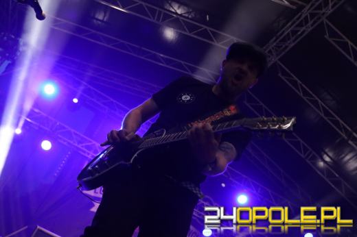 Trwa "Czochraj Bobra Fest". Zobacz zdjęcia