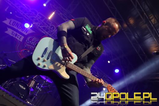 Trwa "Czochraj Bobra Fest". Zobacz zdjęcia