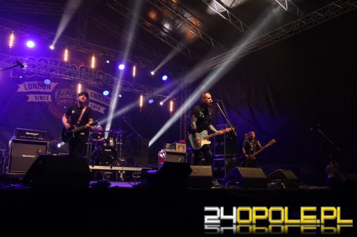 Trwa "Czochraj Bobra Fest". Zobacz zdjęcia