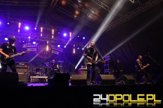 Trwa "Czochraj Bobra Fest". Zobacz zdjęcia