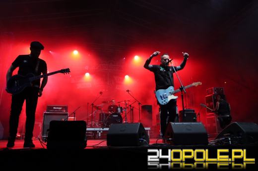 Trwa "Czochraj Bobra Fest". Zobacz zdjęcia