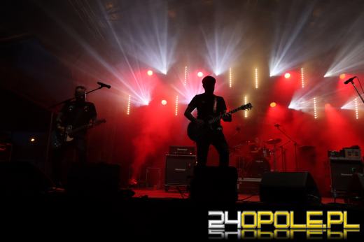 Trwa "Czochraj Bobra Fest". Zobacz zdjęcia